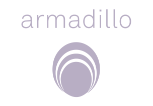 Agile Digital Agency Portfolio - Armadillo Logo