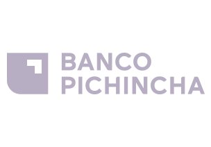 Agile Digital Agency Portfolio - Banco Pichincha Logo