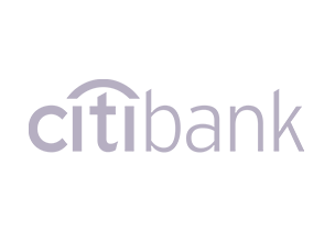 Agile Digital Agency Portfolio - Citibank Logo
