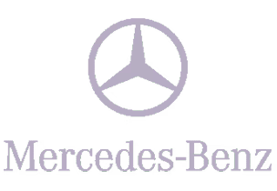 Agile Digital Agency Portfolio - Mercedes Logo