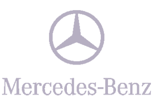 Agile Digital Agency Portfolio - Mercedes Logo