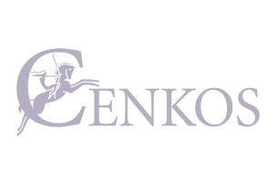 cenkos: institutional stockbroking