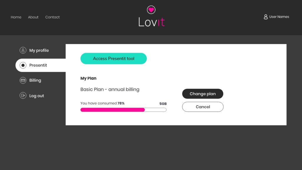 Lovit Platform Dashboard